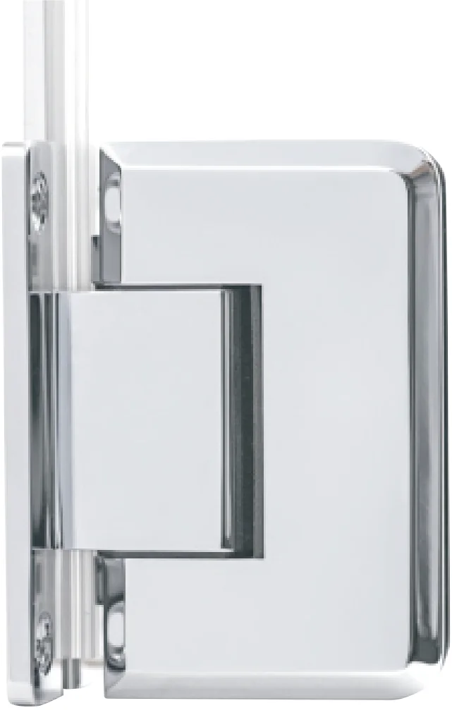SH1001 Shower hinges